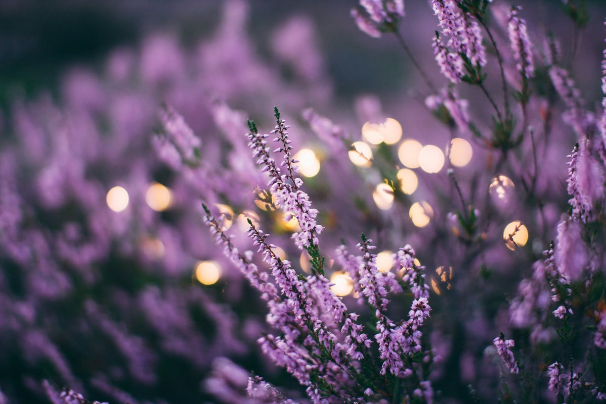 Floral