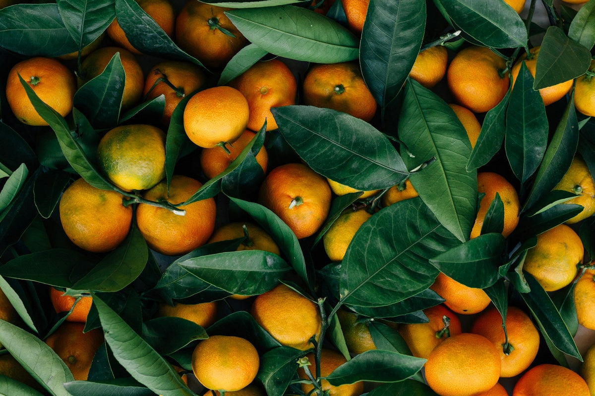 Citrus